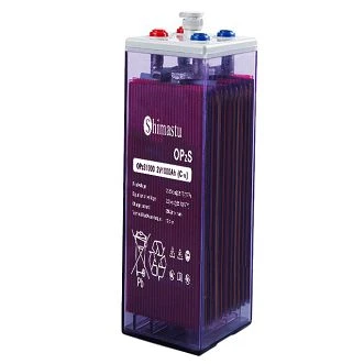 OPzS 1000 نلی نما بیٹری